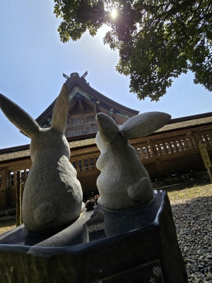 鳥取県米子市皆生温泉のソープランド かのん-KANON-の写メ日記　おはようございます(*^^*)画像