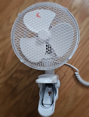 鳥取県米子市皆生温泉のソープランド かのん-KANON-の写メ日記　おはようございます乙葉です⟡.·*.画像