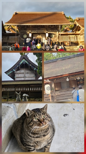 鳥取県米子市皆生温泉のソープランド かのん-KANON-の写メ日記　☆神在祭☆画像