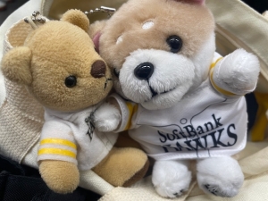 鳥取県米子市皆生温泉のソープランド かのん-KANON-の写メ日記　いっぱい\(//∇//)\うれしかー(´∀｀*)💜画像