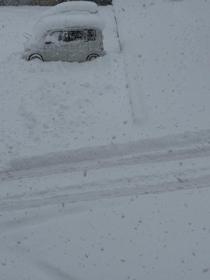 鳥取県米子市皆生温泉のソープランド かのん-KANON-の写メ日記　大雪の為……画像