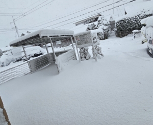 鳥取県米子市皆生温泉のソープランド かのん-KANON-の写メ日記　❄大雪❄画像