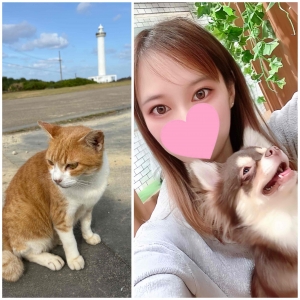 鳥取県米子市皆生温泉のソープランド かのん-KANON-の写メ日記　今日はワンニャンの日🐶🐱画像