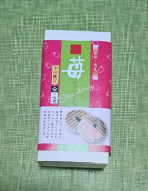 鳥取県米子市皆生温泉のソープランド かのん-KANON-の写メ日記　おはようございます乙葉です⟡.·*.画像