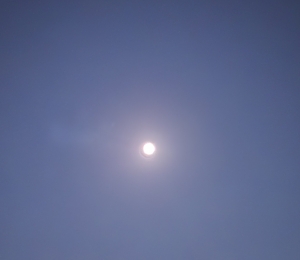 鳥取県米子市皆生温泉のソープランド かのん-KANON-の写メ日記　おはようございます乙葉です⟡.·*.画像