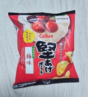 鳥取県米子市皆生温泉のソープランド かのん-KANON-の写メ日記　おはようございます乙葉です⟡.·*.画像