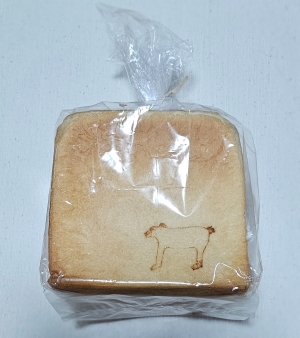 鳥取県米子市皆生温泉のソープランド かのん-KANON-の写メ日記　おはようございます乙葉です⟡.·*.画像