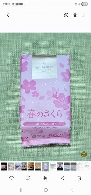 鳥取県米子市皆生温泉のソープランド かのん-KANON-の写メ日記　おはようございます乙葉です⟡.·*.画像