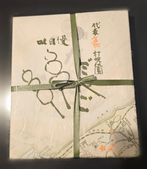 鳥取県米子市皆生温泉のソープランド かのん-KANON-の写メ日記　おはようございます乙葉です⟡.·*.画像