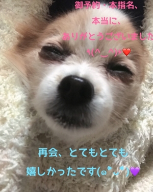 鳥取県米子市皆生温泉のソープランド かのん-KANON-の写メ日記　本日の御礼❤︎♡ありがとうですʕ•ᴥ•ʔ♡❤︎画像